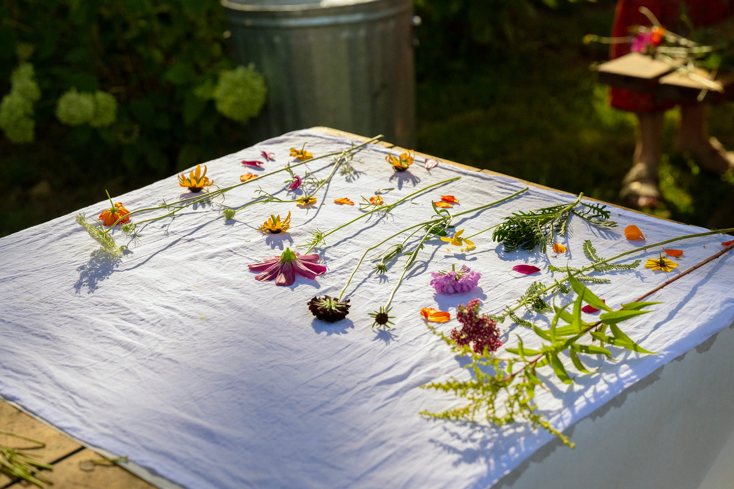 {Workshop} Botanical Printing with Flowers August 2, 10:00 AM -12:30 PM
