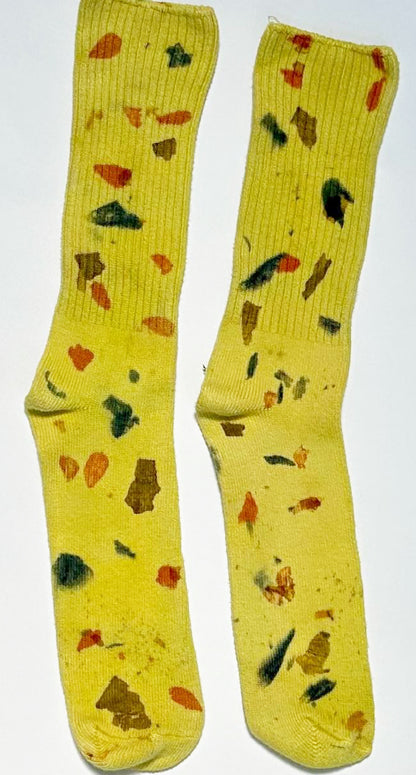 COLOR FIELD | Bamboo Socks