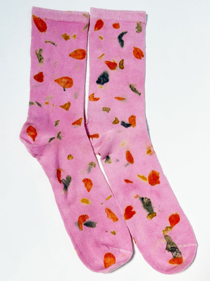 COLOR FIELD | Cotton Crew Socks