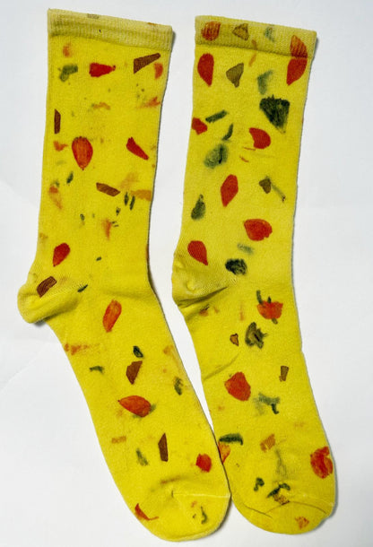 COLOR FIELD | Cotton Crew Socks