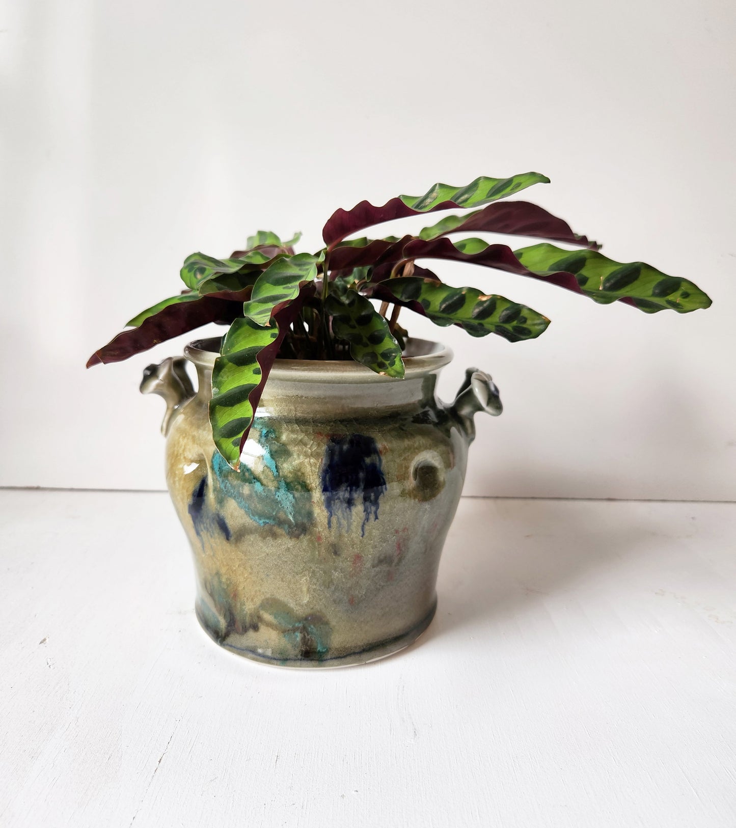 Botanically Inspired Salt Glazed Pot