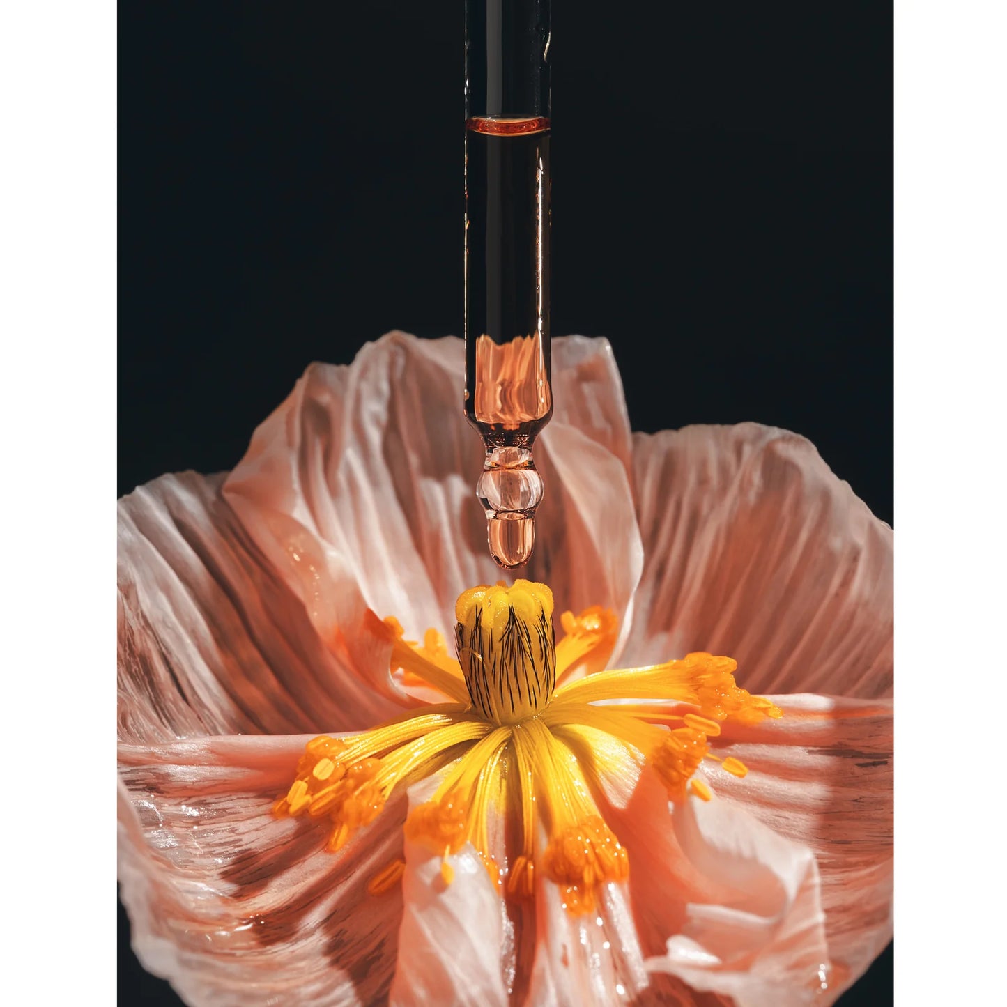 Voluptas Flower Nectar Face Oil